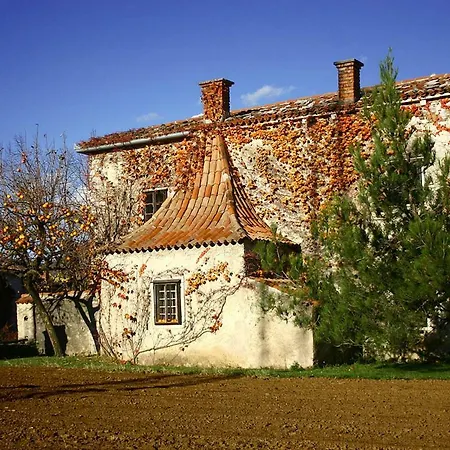 Apartment Vidus Wine Estate Podnanos Exterior photo