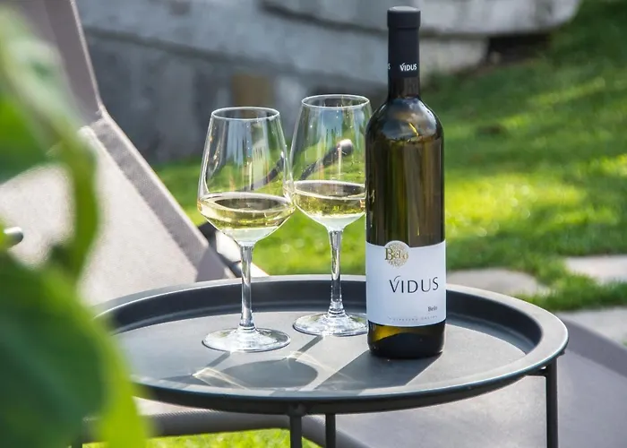 Apartment Vidus Wine Estate