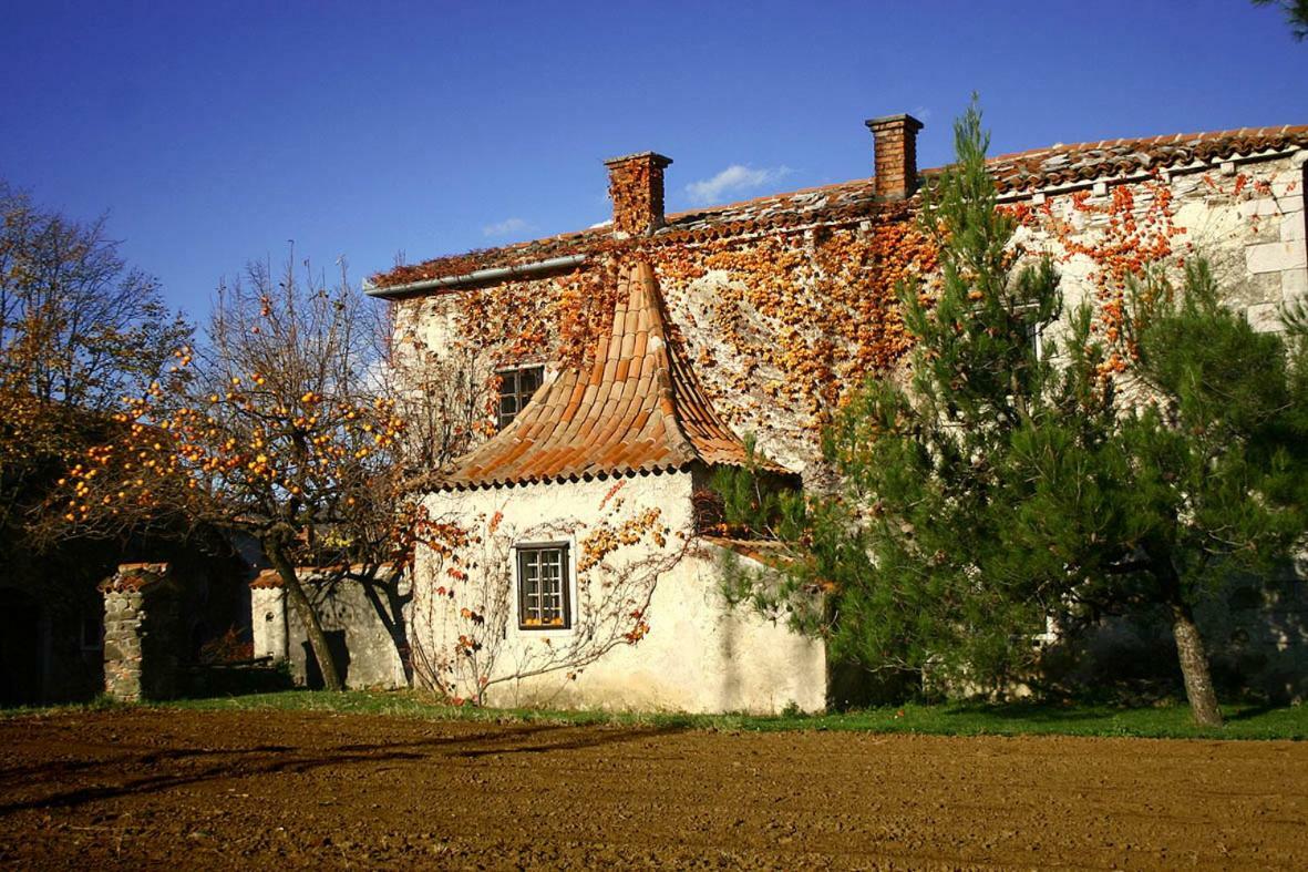 Vidus Wine Estate * Podnanos